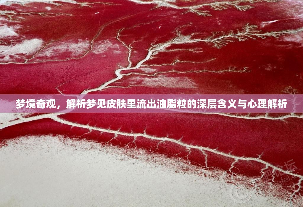 夢(mèng)境奇觀，解析夢(mèng)見(jiàn)皮膚里流出油脂粒的深層含義與心理解析