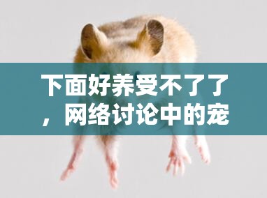 下面好養(yǎng)受不了了，網(wǎng)絡(luò)討論中的寵物養(yǎng)護(hù)挑戰(zhàn)與應(yīng)對(duì)