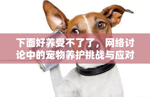 下面好養(yǎng)受不了了，網(wǎng)絡(luò)討論中的寵物養(yǎng)護(hù)挑戰(zhàn)與應(yīng)對(duì)