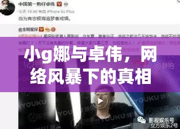 小g娜與卓偉，網(wǎng)絡(luò)風(fēng)暴下的真相探尋與公眾反思