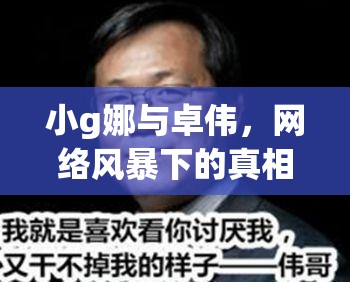 小g娜與卓偉，網(wǎng)絡(luò)風(fēng)暴下的真相探尋與公眾反思