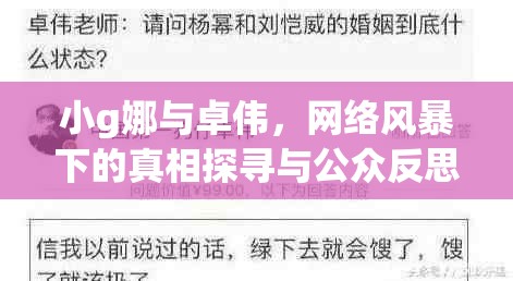 小g娜與卓偉，網(wǎng)絡(luò)風(fēng)暴下的真相探尋與公眾反思