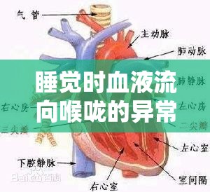 睡覺時血液流向喉嚨的異?，F(xiàn)象