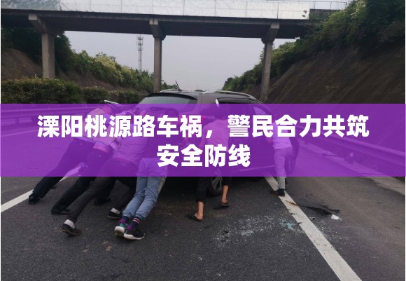 溧陽桃源路車禍，警民合力共筑安全防線
