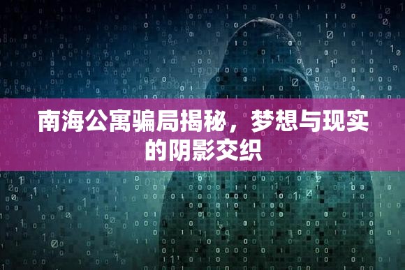 南海公寓騙局揭秘，夢(mèng)想與現(xiàn)實(shí)的陰影交織