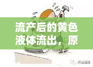 流產(chǎn)后的黃色液體流出，原因與應(yīng)對(duì)措施