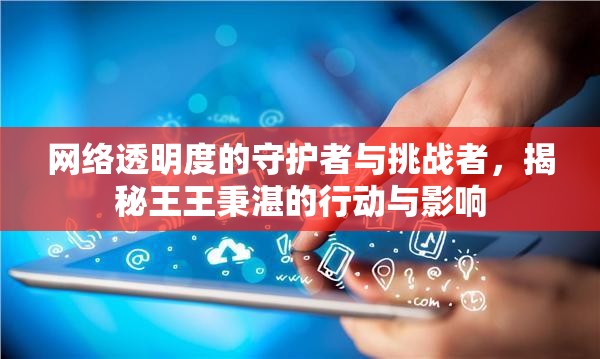 網(wǎng)絡(luò)透明度的守護(hù)者與挑戰(zhàn)者，揭秘王王秉湛的行動(dòng)與影響