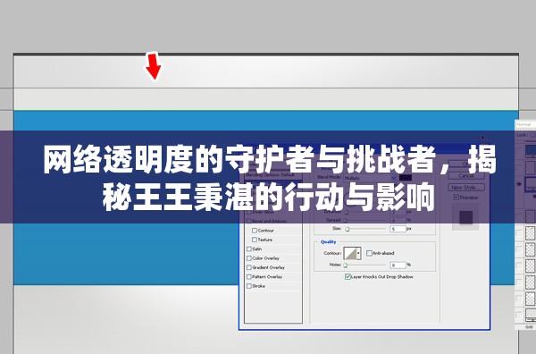 網(wǎng)絡(luò)透明度的守護(hù)者與挑戰(zhàn)者，揭秘王王秉湛的行動(dòng)與影響