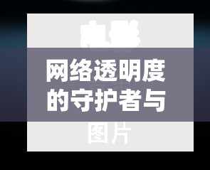 網(wǎng)絡(luò)透明度的守護(hù)者與挑戰(zhàn)者，揭秘王王秉湛的行動(dòng)與影響