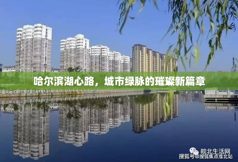 哈爾濱湖心路，城市綠脈的璀璨新篇章