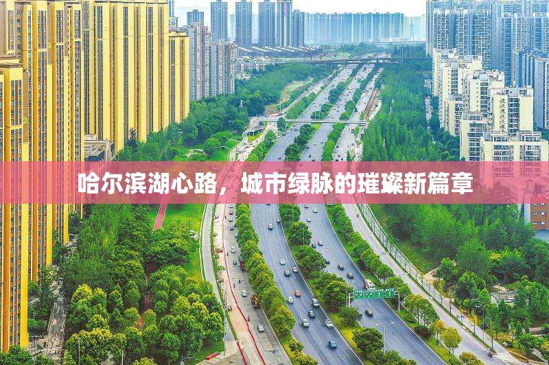 哈爾濱湖心路，城市綠脈的璀璨新篇章