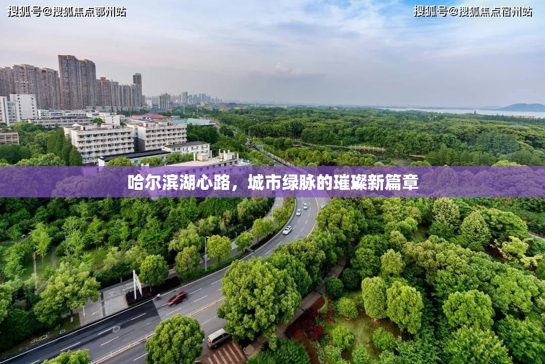 哈爾濱湖心路，城市綠脈的璀璨新篇章
