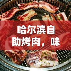 哈爾濱自助烤肉，味蕾與品質(zhì)的雙重盛宴