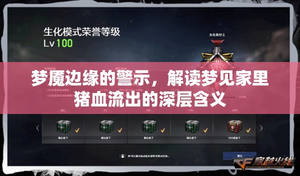 夢魘邊緣的警示，解讀夢見家里豬血流出的深層含義