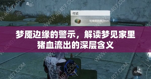 夢魘邊緣的警示，解讀夢見家里豬血流出的深層含義