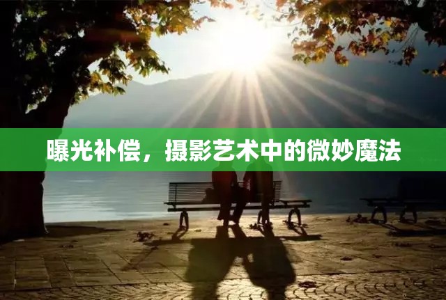 曝光補償，攝影藝術(shù)中的微妙魔法