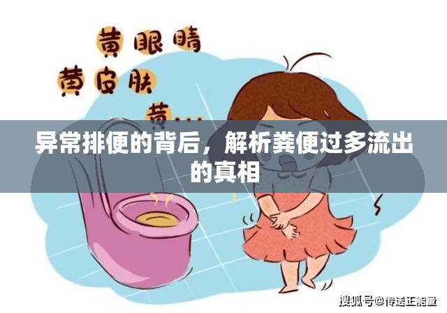 異常排便的背后，解析糞便過多流出的真相