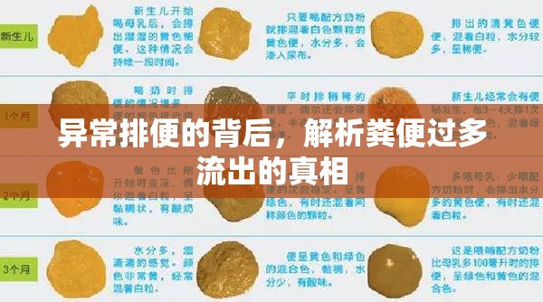 異常排便的背后，解析糞便過多流出的真相