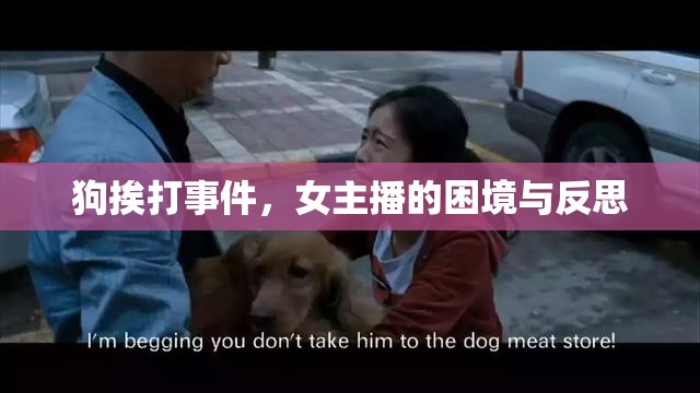 狗挨打事件，女主播的困境與反思