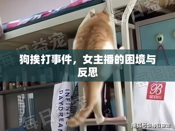 狗挨打事件，女主播的困境與反思