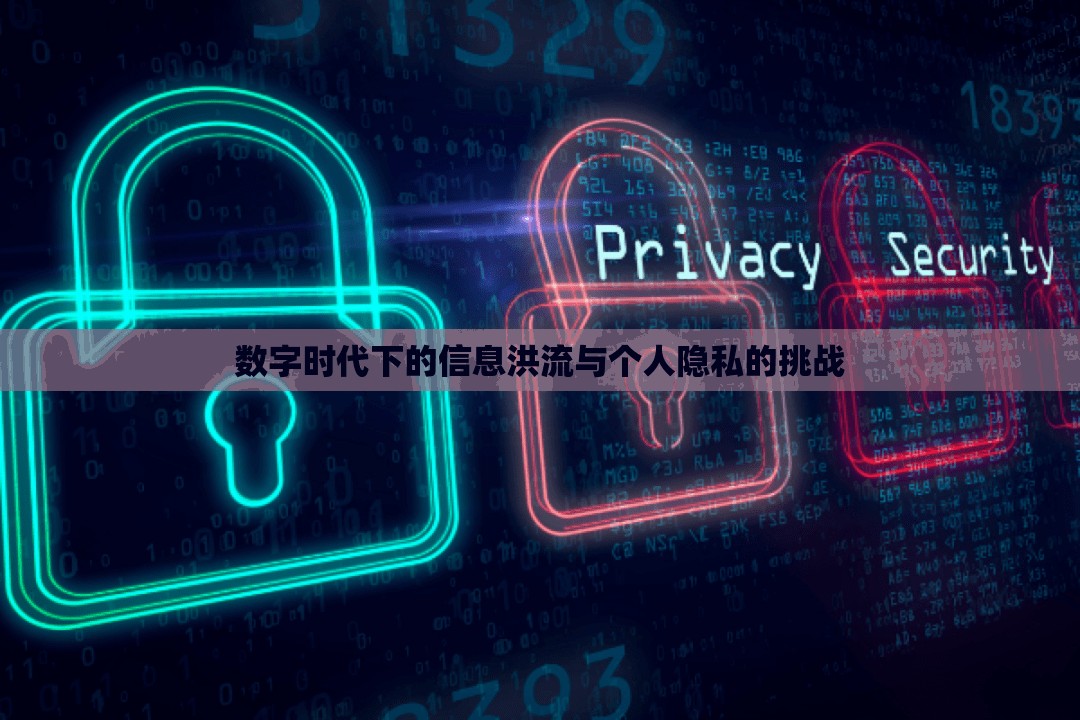 數(shù)字時代下的信息洪流與個人隱私的挑戰(zhàn)