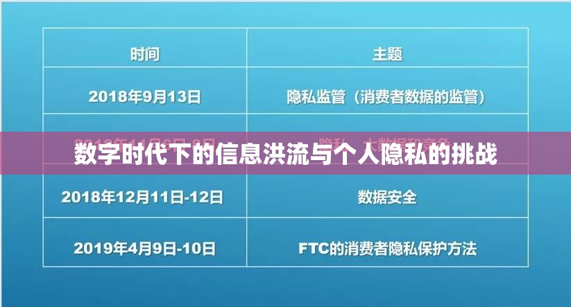 數(shù)字時代下的信息洪流與個人隱私的挑戰(zhàn)