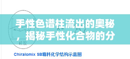 手性色譜柱流出的奧秘，揭秘手性化合物的分離與排序