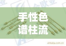 手性色譜柱流出的奧秘，揭秘手性化合物的分離與排序