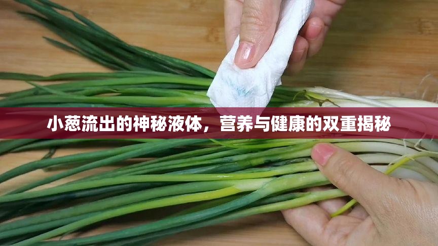 小蔥流出的神秘液體，營養(yǎng)與健康的雙重揭秘