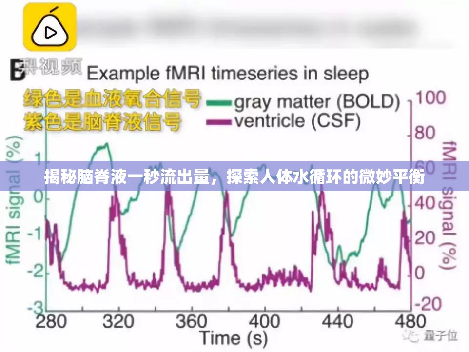 揭秘腦脊液一秒流出量，探索人體水循環(huán)的微妙平衡