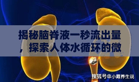 揭秘腦脊液一秒流出量，探索人體水循環(huán)的微妙平衡
