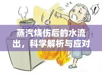 蒸汽燒傷后的水流出，科學(xué)解析與應(yīng)對策略