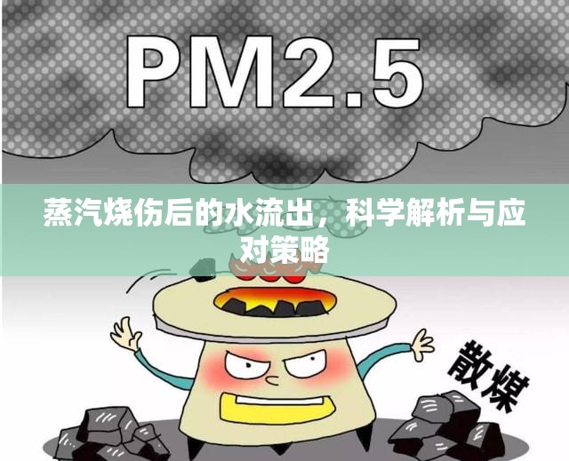 蒸汽燒傷后的水流出，科學(xué)解析與應(yīng)對策略