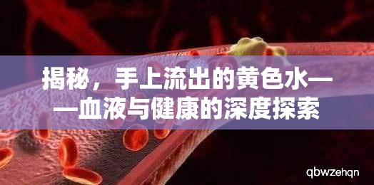 揭秘，手上流出的黃色水——血液與健康的深度探索