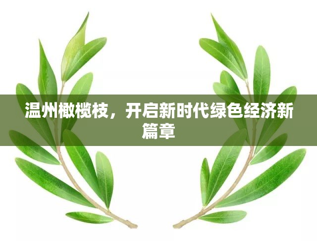 溫州橄欖枝，開啟新時(shí)代綠色經(jīng)濟(jì)新篇章