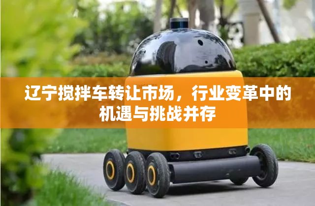 遼寧攪拌車(chē)轉(zhuǎn)讓市場(chǎng)，行業(yè)變革中的機(jī)遇與挑戰(zhàn)并存