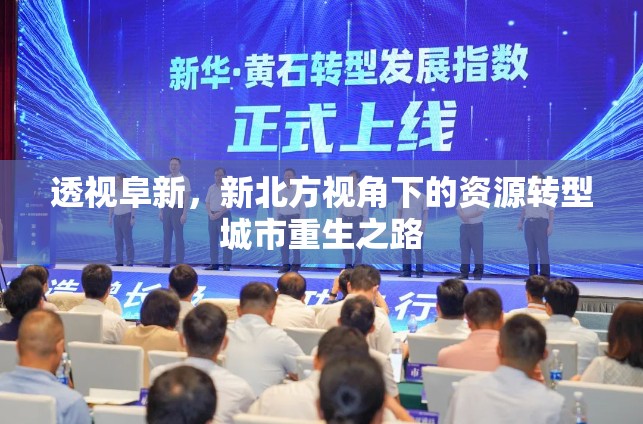 透視阜新，新北方視角下的資源轉(zhuǎn)型城市重生之路