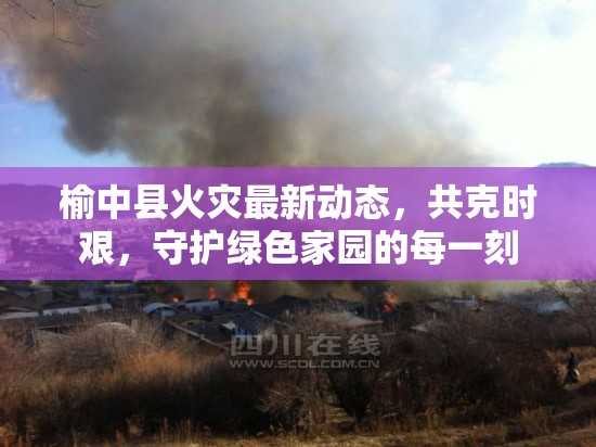 榆中縣火災(zāi)最新動態(tài)，共克時艱，守護綠色家園的每一刻