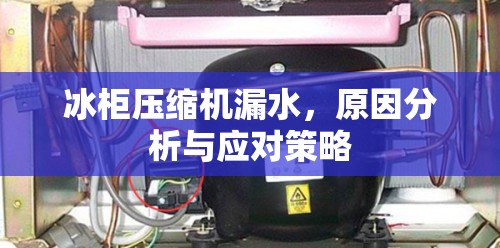冰柜壓縮機漏水，原因分析與應(yīng)對策略