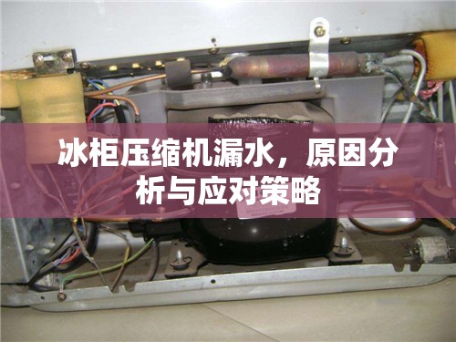 冰柜壓縮機漏水，原因分析與應(yīng)對策略