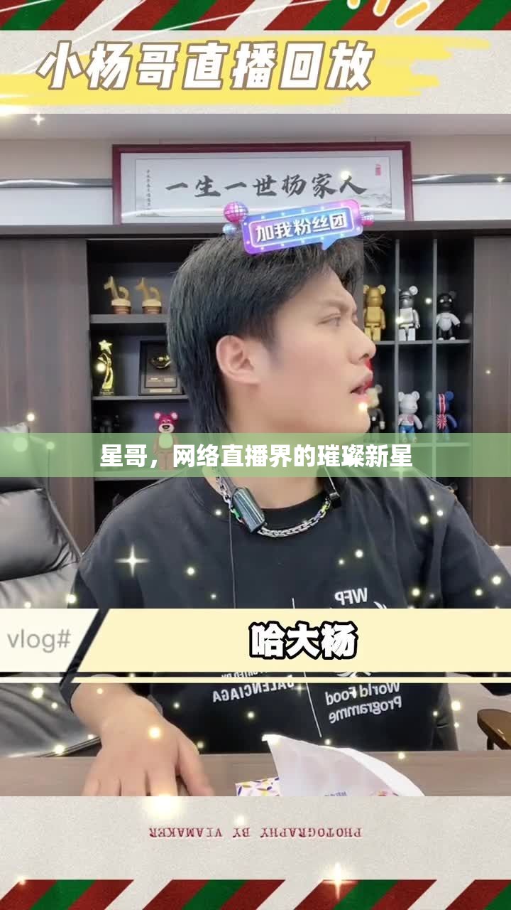 星哥，網(wǎng)絡直播界的璀璨新星