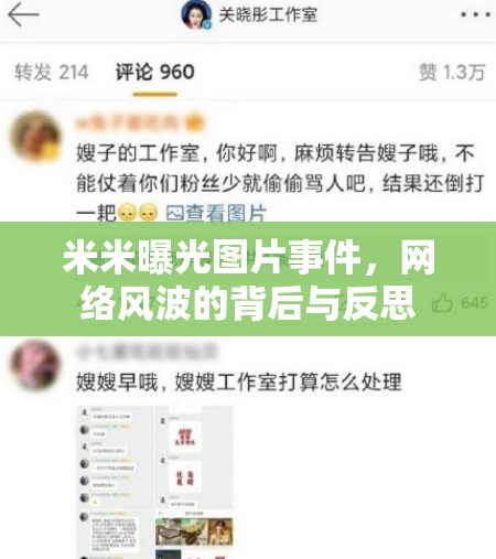 米米曝光圖片事件，網(wǎng)絡(luò)風(fēng)波的背后與反思