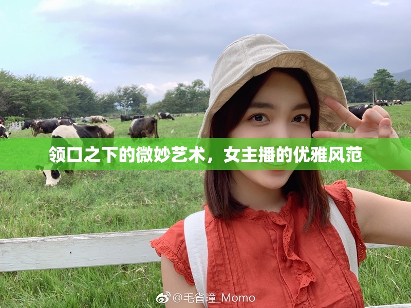 領(lǐng)口之下的微妙藝術(shù)，女主播的優(yōu)雅風(fēng)范