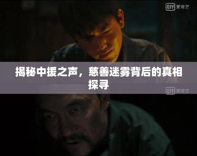 揭秘中援之聲，慈善迷霧背后的真相探尋