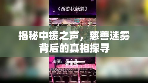 揭秘中援之聲，慈善迷霧背后的真相探尋