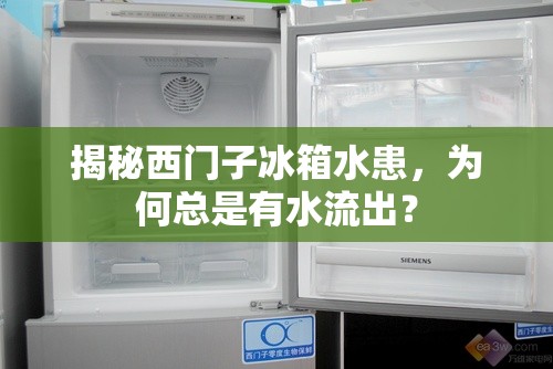 揭秘西門子冰箱水患，為何總是有水流出？