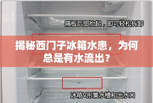 揭秘西門子冰箱水患，為何總是有水流出？