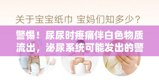 警惕！尿尿時(shí)疼痛伴白色物質(zhì)流出，泌尿系統(tǒng)可能發(fā)出的警報(bào)