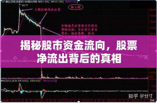 揭秘股市資金流向，股票凈流出背后的真相