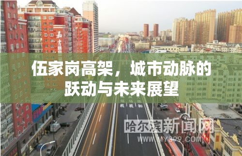 伍家崗高架，城市動(dòng)脈的躍動(dòng)與未來(lái)展望